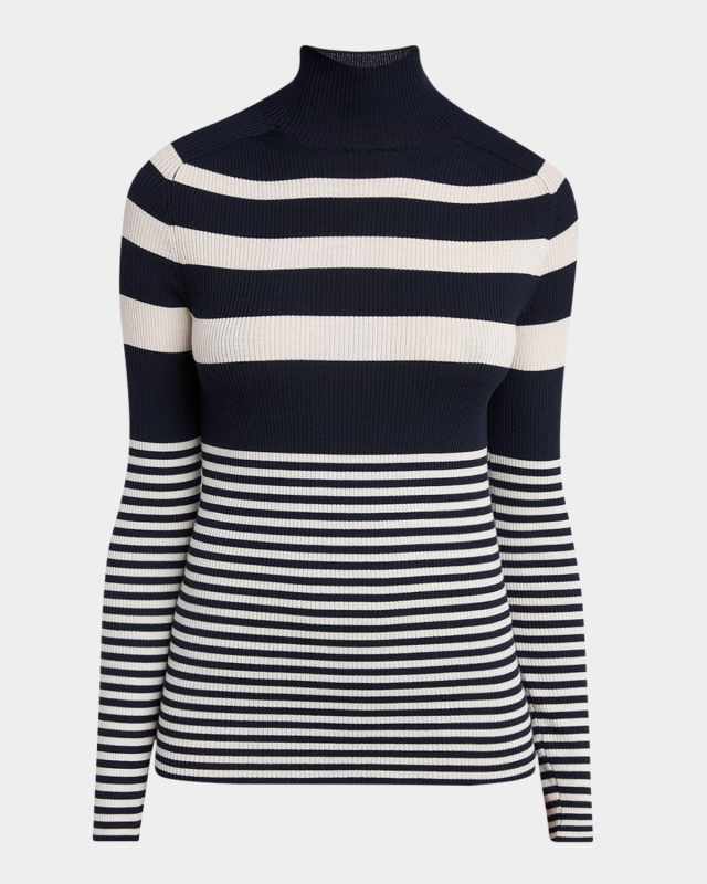Stripe Wool Turtleneck Sweater